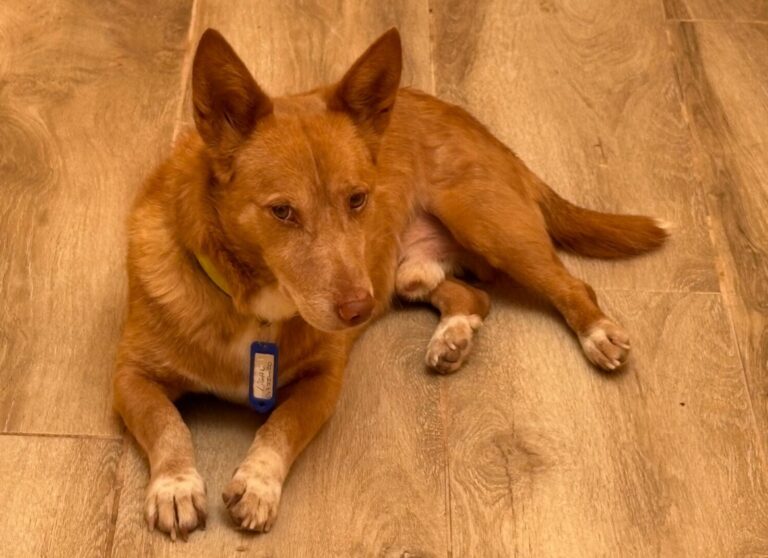 multimedia-foto94208-189-1