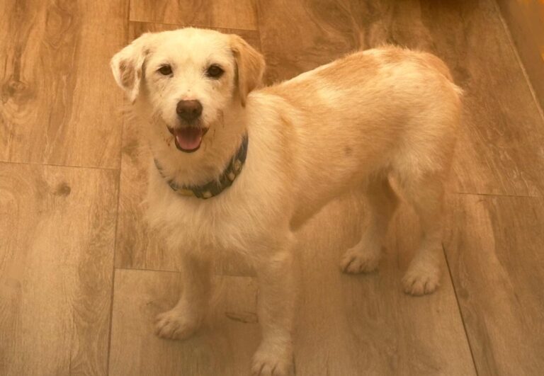 multimedia-foto94209-221-1