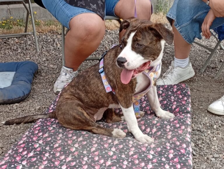 multimedia-foto94212-966-1