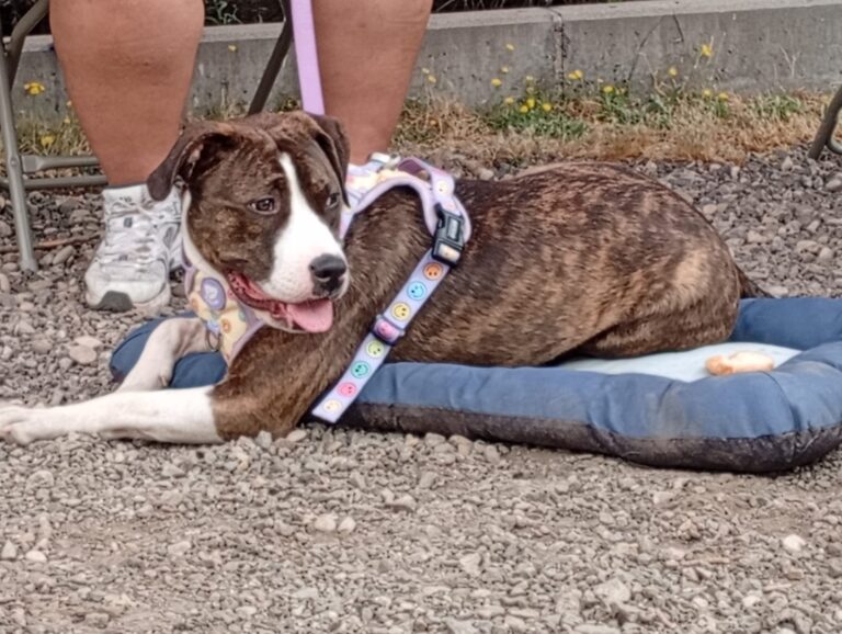 multimedia-foto94214-967-1