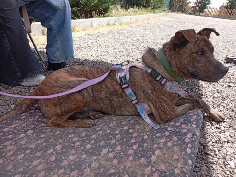 multimedia-foto94216-239-1