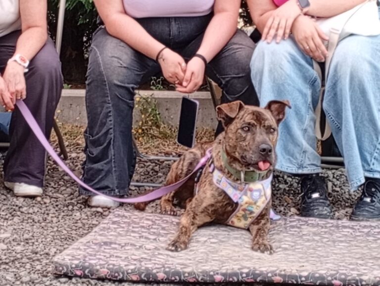 multimedia-foto94217-239-1