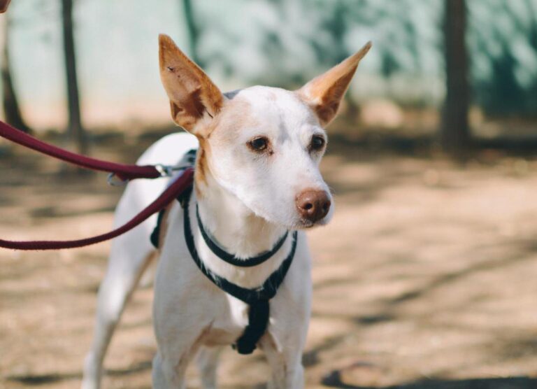 Processed with VSCO with e6 preset