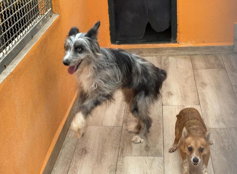 multimedia-foto94311-941-1