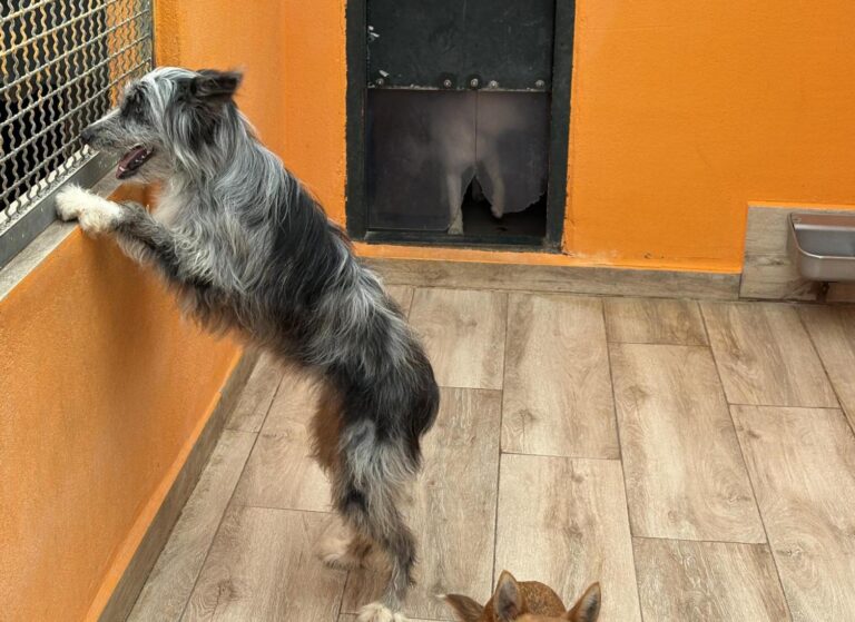 multimedia-foto94312-941-1