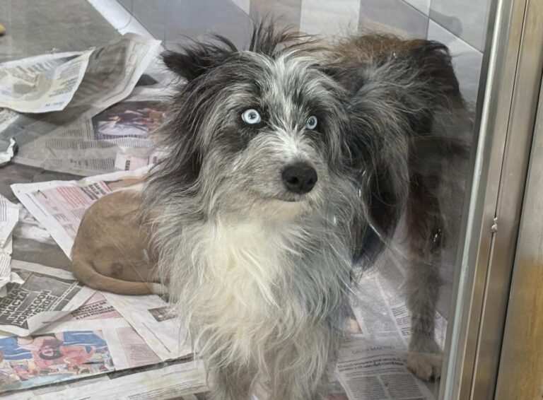 multimedia-foto94313-941-1