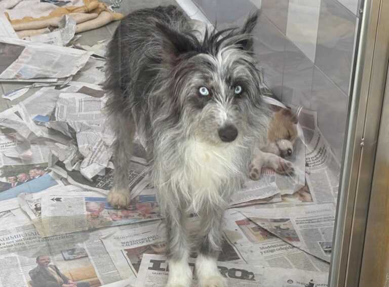 multimedia-foto94314-942-1