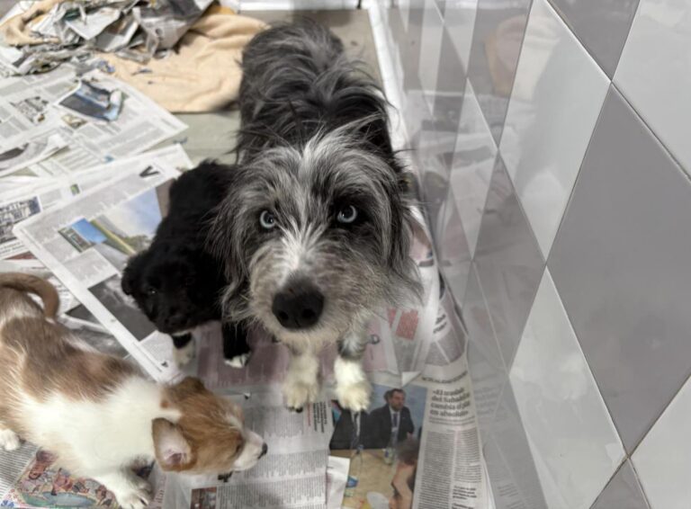 multimedia-foto94316-942-1