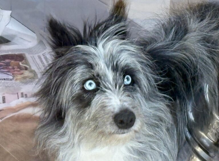 multimedia-foto94318-943-1