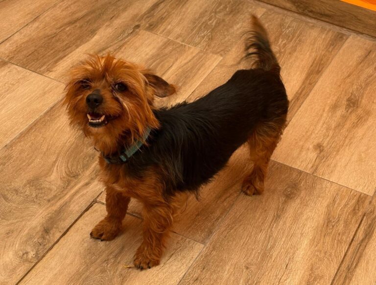 multimedia-foto94325-99-1