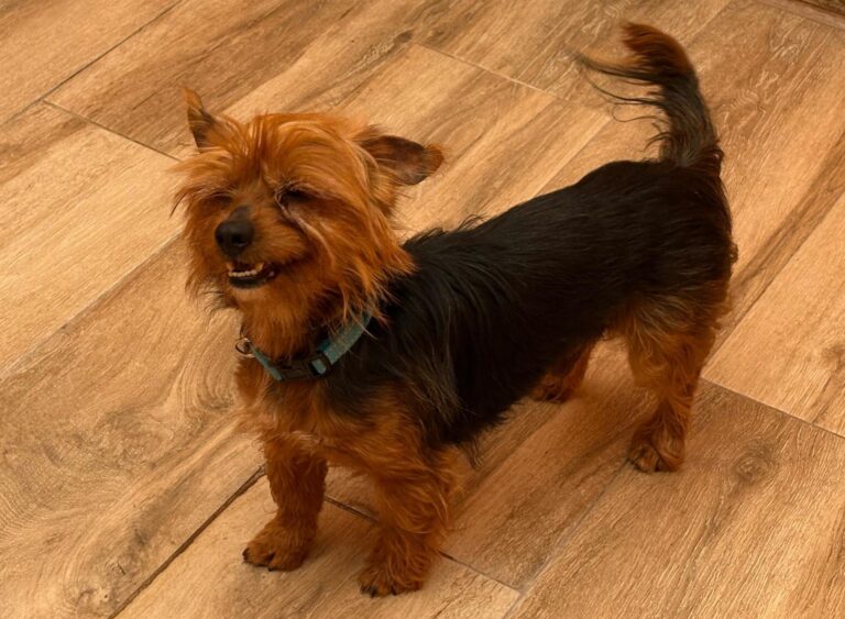 multimedia-foto94326-99-1