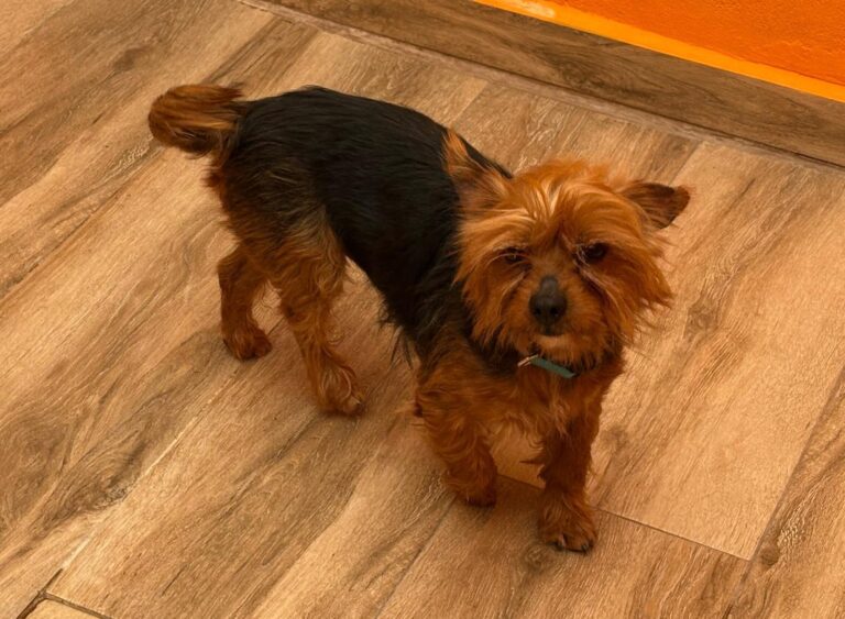 multimedia-foto94328-99-1