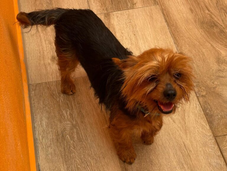 multimedia-foto94329-100-1