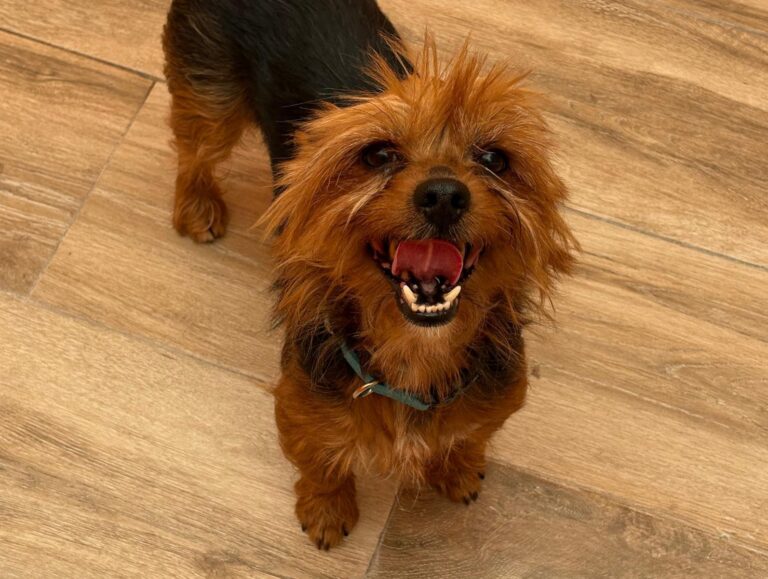 multimedia-foto94330-100-1