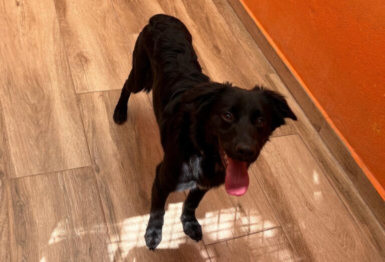 multimedia-foto94353-185-1