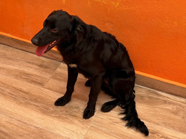 multimedia-foto94354-185-1