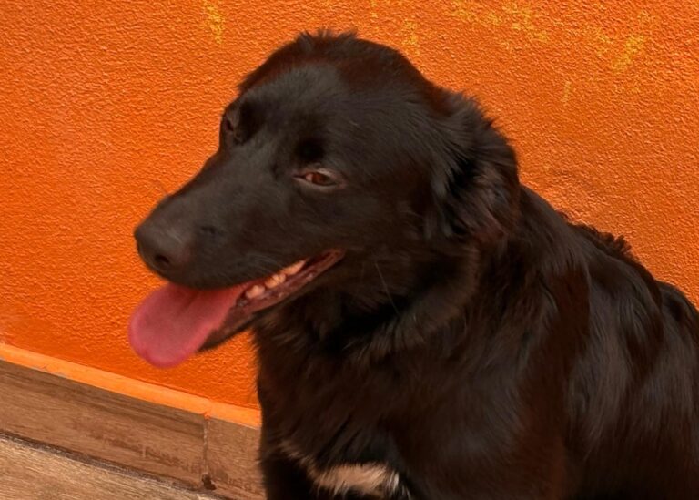 multimedia-foto94355-185-1