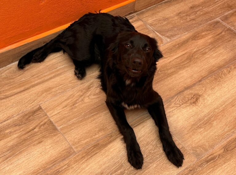 multimedia-foto94356-186-1