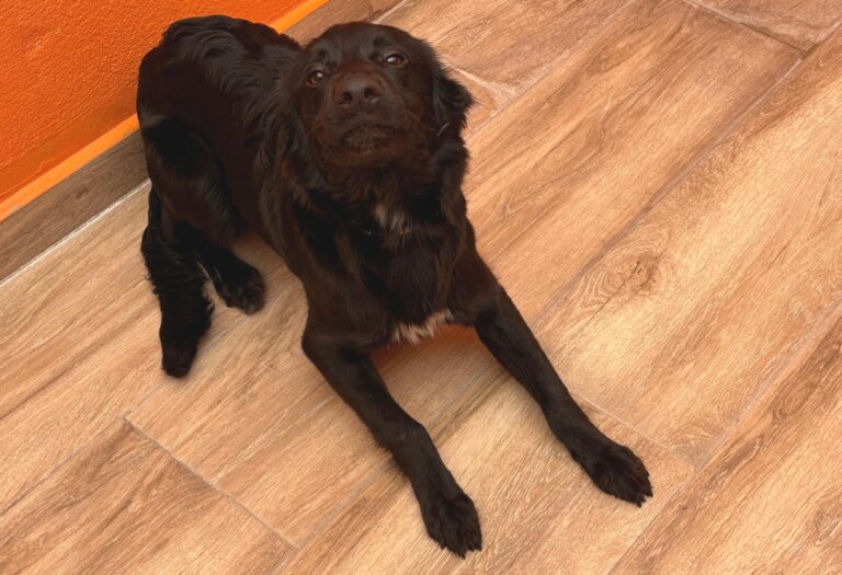 multimedia-foto94357-186-1