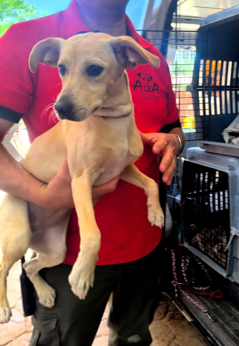 multimedia-foto94360-862-1