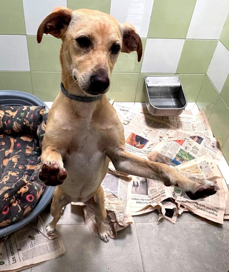 multimedia-foto94361-862-1