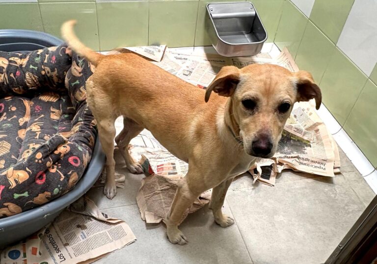 multimedia-foto94362-862-1