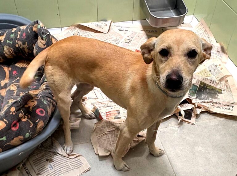 multimedia-foto94363-862-1