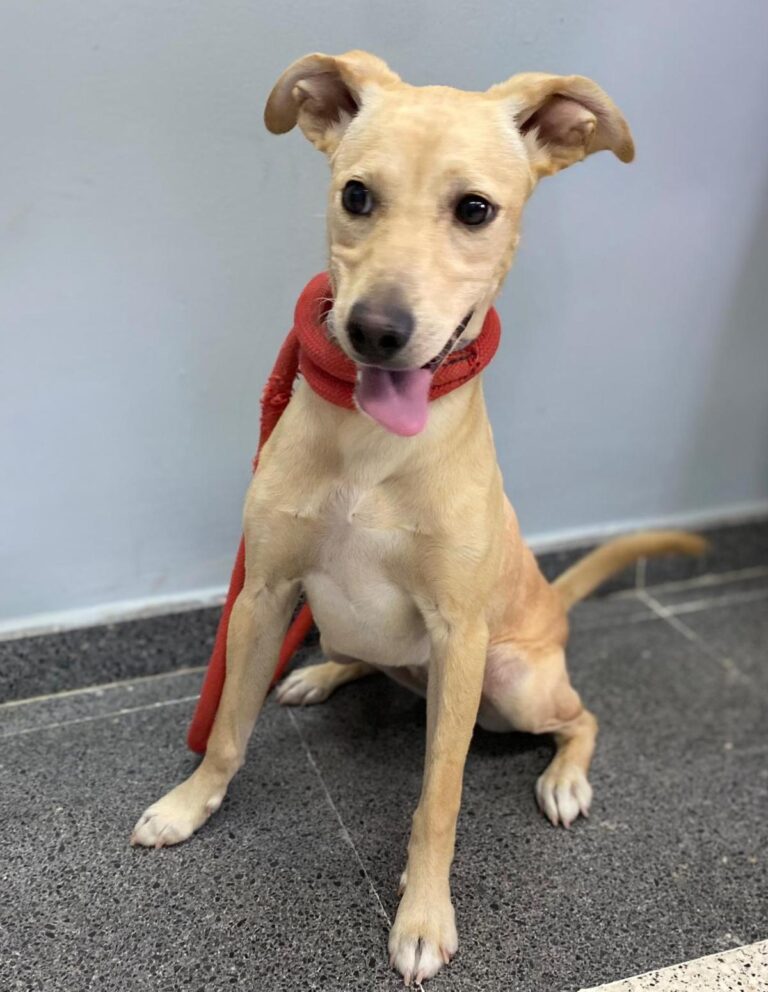 multimedia-foto94364-863-1