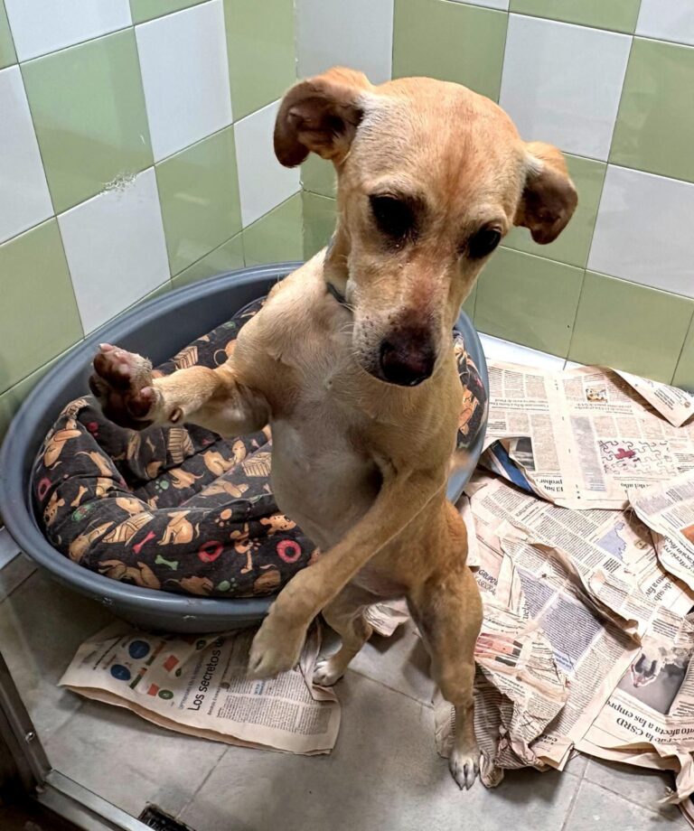 multimedia-foto94365-863-1