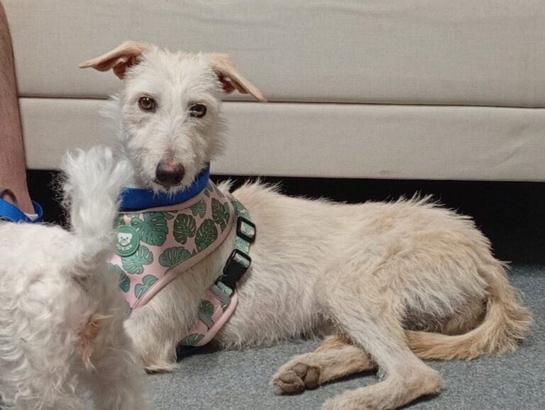 multimedia-foto94374-805-1