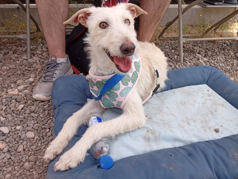 multimedia-foto94376-806-1