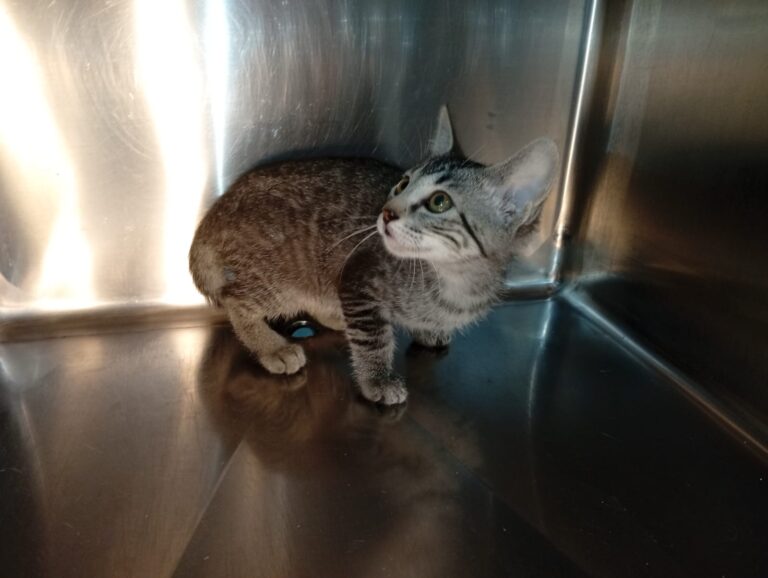 multimedia-foto94428-922-1