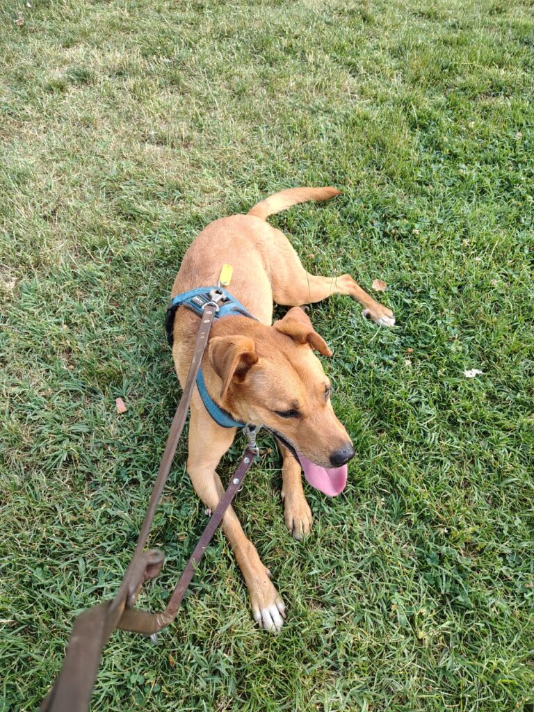 multimedia-foto94436-166-1