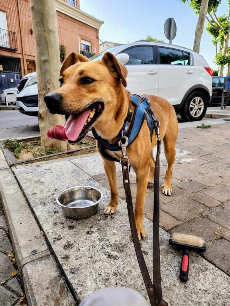 multimedia-foto94437-166-1