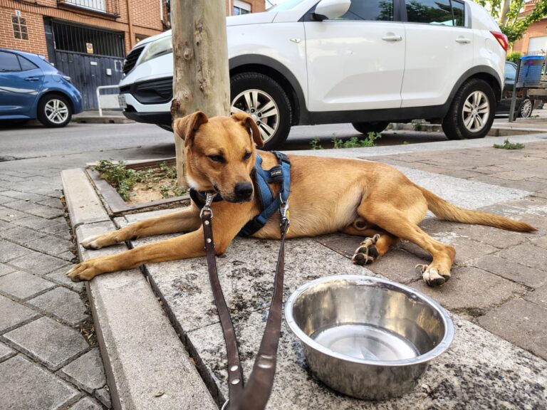 multimedia-foto94438-167-1