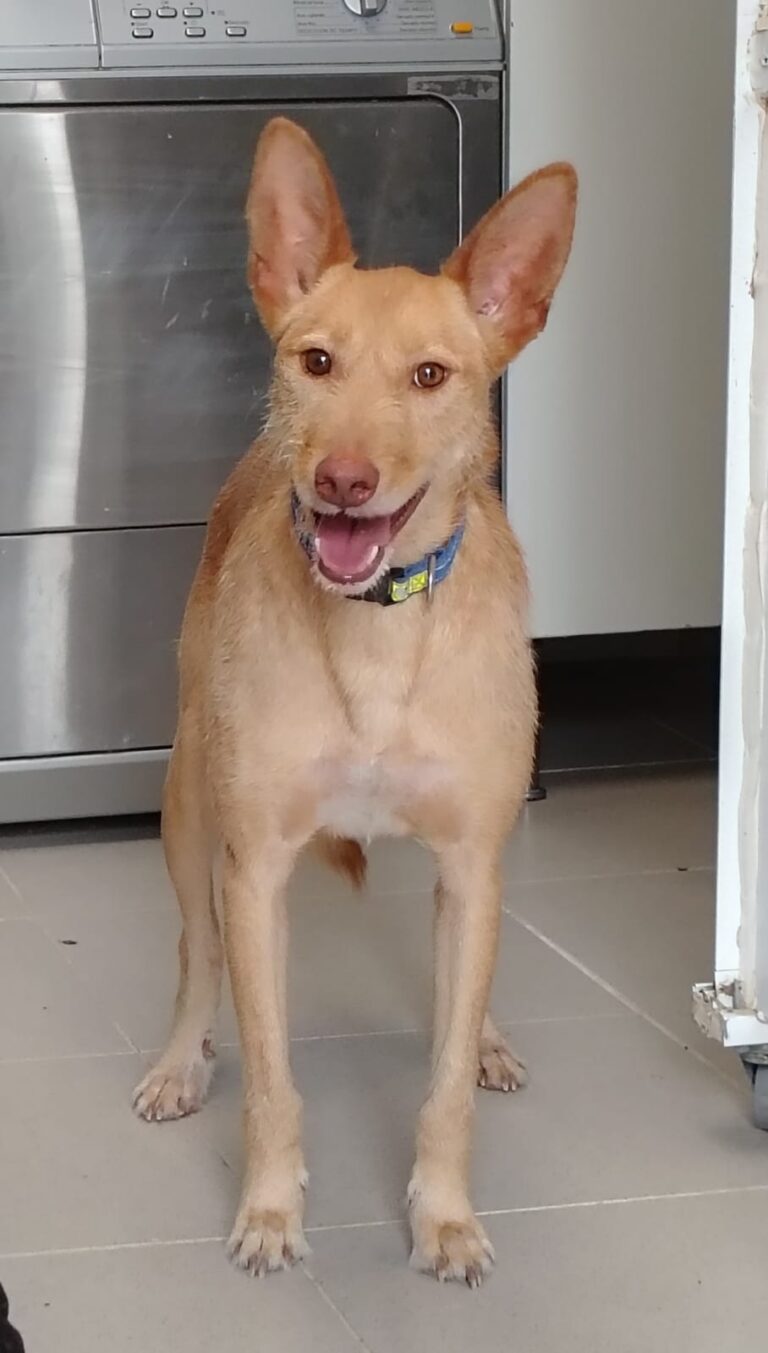 multimedia-foto94444-349-1