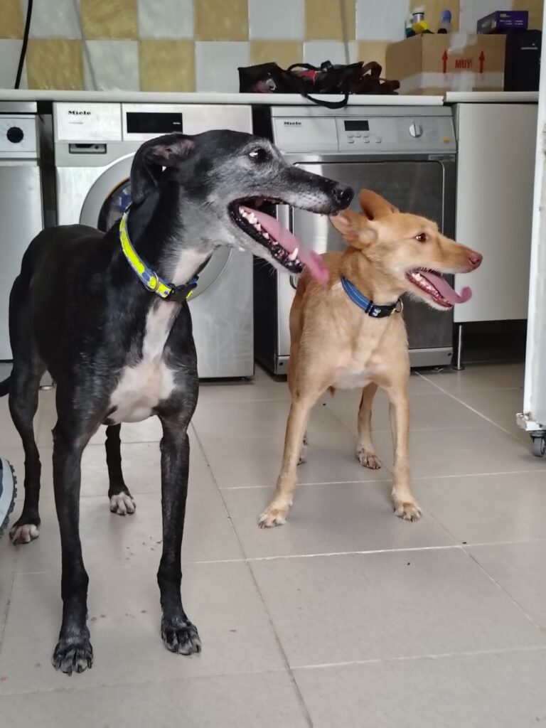 multimedia-foto94445-350-1