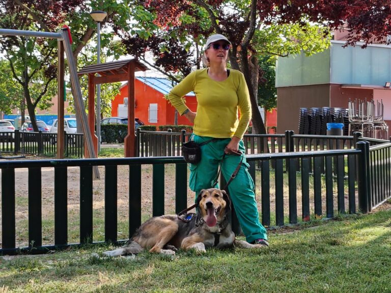 multimedia-foto94447-411-1