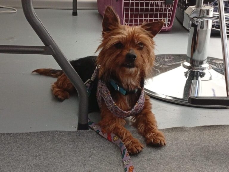 multimedia-foto94451-407-1