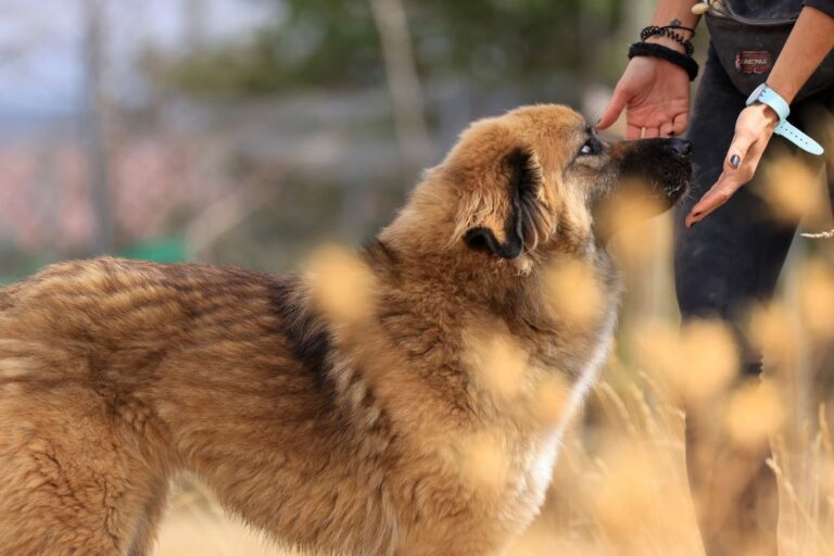 multimedia-foto94461-867-1