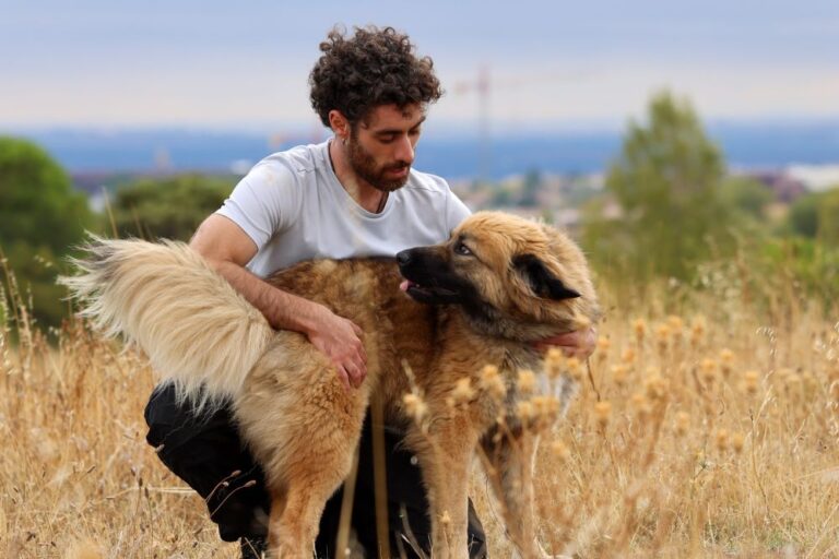 multimedia-foto94462-867-1