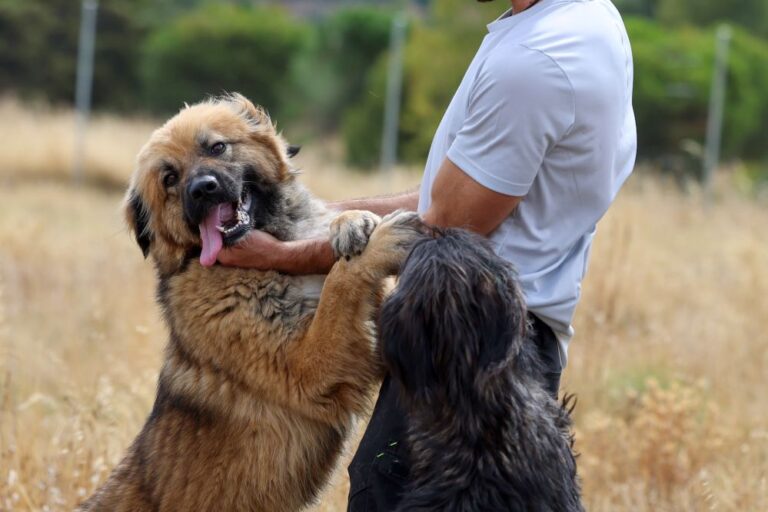 multimedia-foto94463-867-1