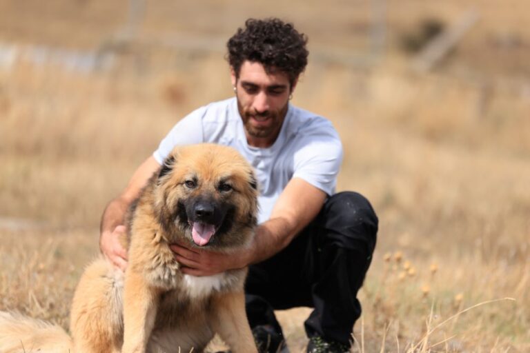 multimedia-foto94464-868-1