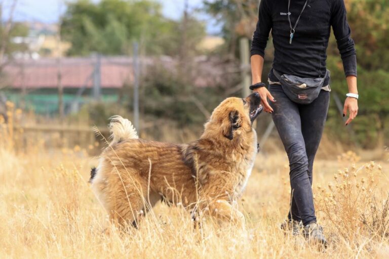 multimedia-foto94465-868-1