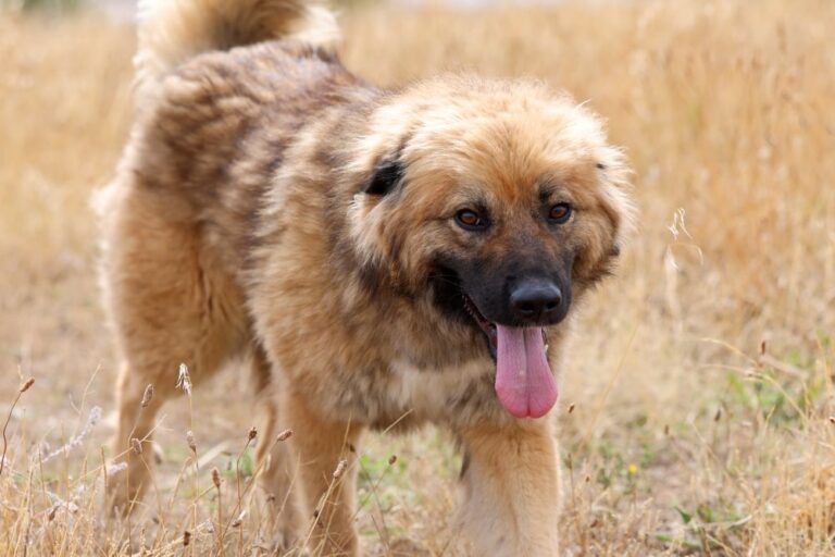 multimedia-foto94468-869-1