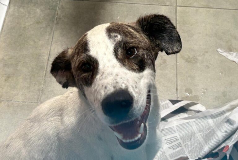 multimedia-foto94504-537-1