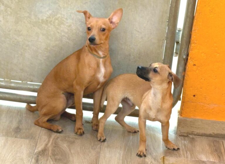 multimedia-foto94516-420-1