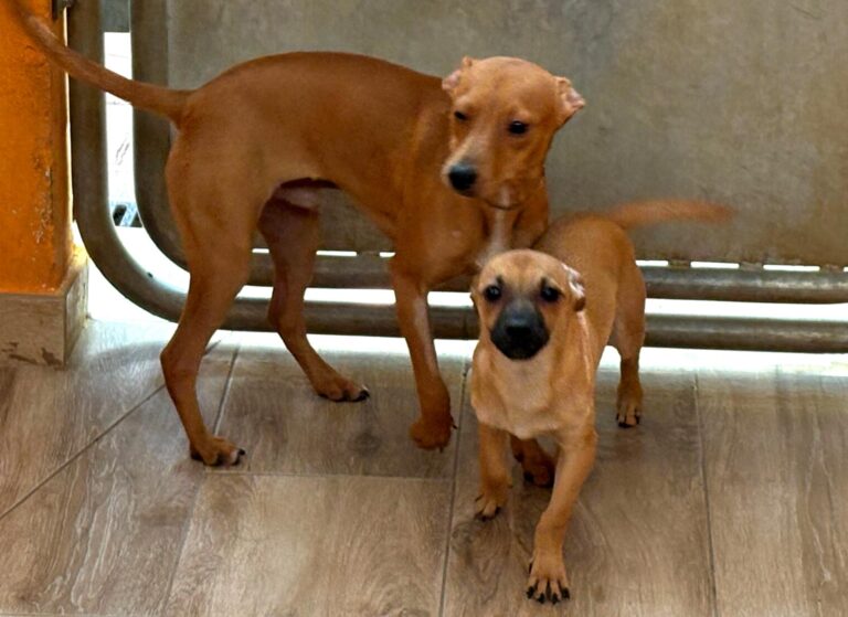 multimedia-foto94518-421-1