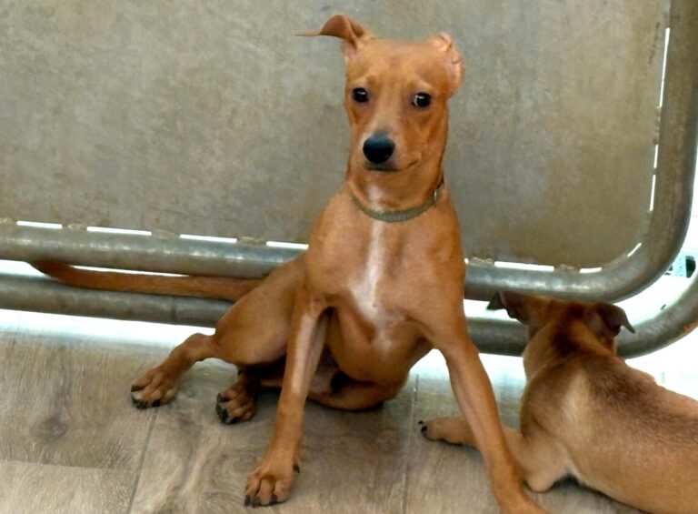 multimedia-foto94519-421-1