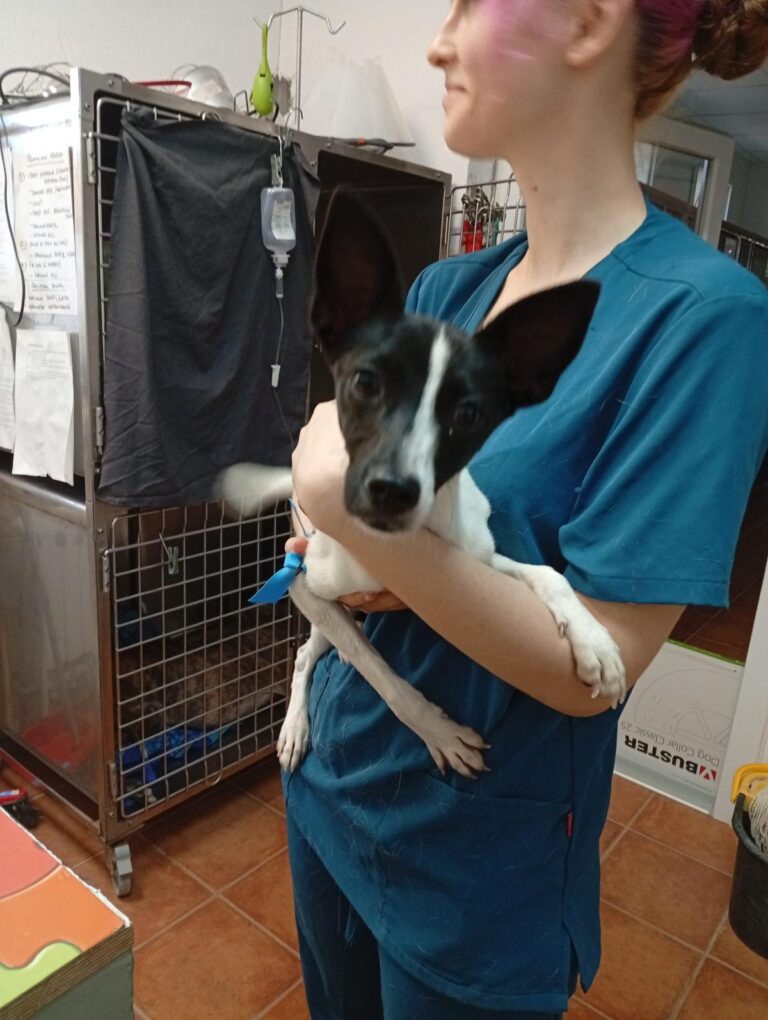 multimedia-foto94532-533-1